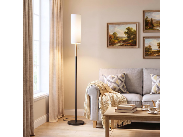 64' Floor Lamp with Bulb & Lampshade & Chain Switch, Black & Gold 3 Color Temperature,9W LED bulb,Minimalist Floor Lamp,Tall Pole Lamps,Living...