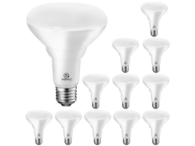 Energetic LED Flood Light Bulbs BR30 Indoor, 65W Equivalent, Dimmable, Daylight 5000K, Indoor Flood Lights for Recessed Cans, 12 Pack