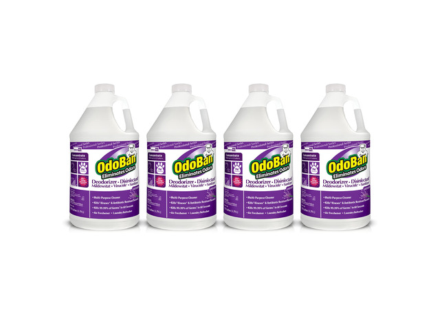 Professional Disinfectant and Odor Eliminator Concentrate, Made in the USA, Lavender Scent, 4-Pack, 1 Gallon Each