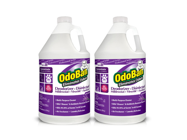 Professional Disinfectant and Odor Eliminator Concentrate, Made in the USA, Lavender Scent, 2-Pack, 1 Gallon Each
