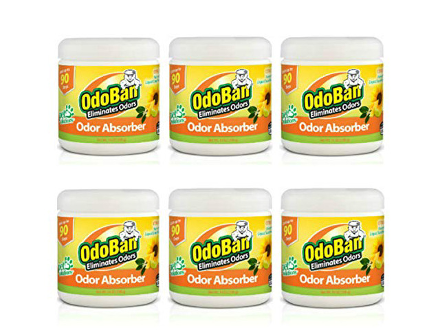Solid Odor Absorber Eliminator for Home and Small Spaces, Citrus Scent, 14 Ounces Each, 6-Pack