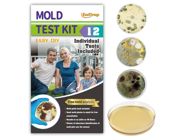 Mold Test Kit for Home Within 12 Individual Tests,DIY Detector at Home, Surface Mold,HVAC,Indoor Air Quality Testing Kits,Black Mold...