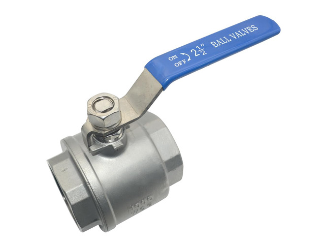 2-1/2' NPT Female 316 Stainless Steel Full Port Ball Valve Vinyl Handle WOG1000 (2-1/2 inch)