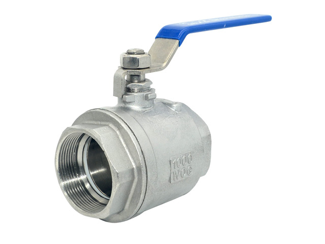 2' NPT Female 316 Stainless Steel Full Port Ball Valve Vinyl Handle WOG1000