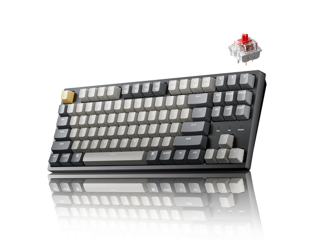 Keychron C1 Pro TKL Custom Wired Mechanical Keyboard, RGB Backlight Keychron Apex Red switches, Programmable wired TKL with QMK, Launcher, PBT...