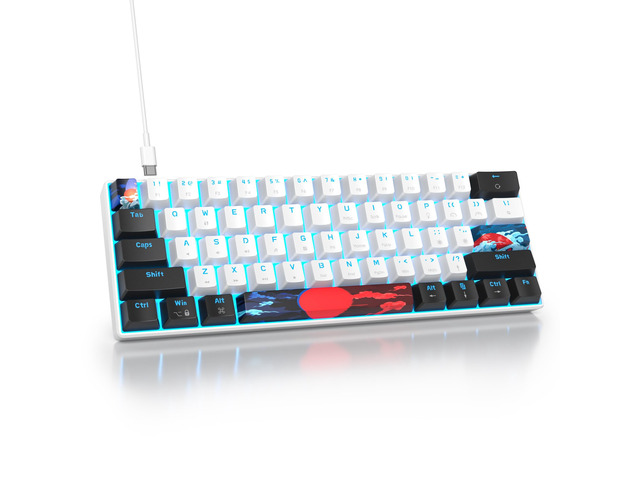 60 Percent Gaming Keyboard 61 Keys Mechanical Keyboard Ultra Compact Wird Keyboard LED Backlit with Red Switch for PC Laptop Gamer(61 White)