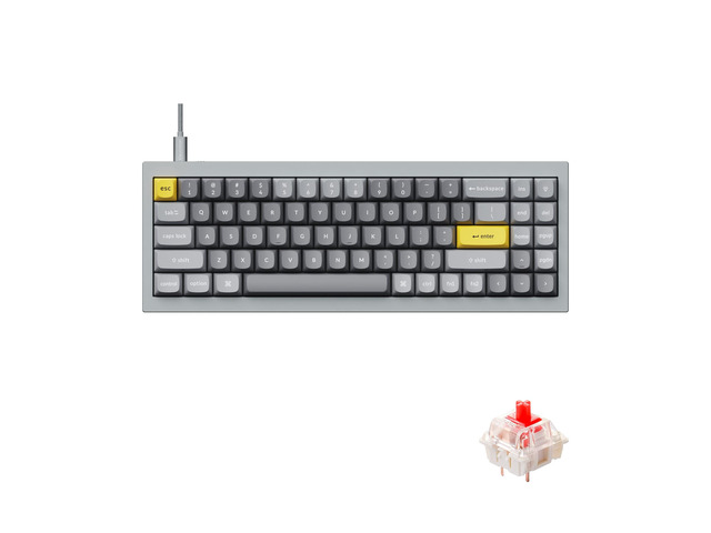 Keychron Q7 Wired Custom Mechanical Keyboard, 70% Layout QMK/VIA Programmable Macro with Hot-swappable Gateron G Pro Red Switch Double Gasket...