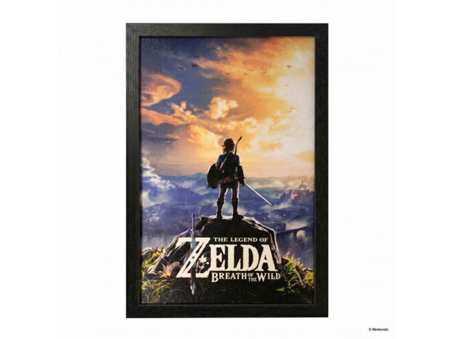The Legend of Zelda: Breath of the Wild - Hyrule Landscape - 11x17 Framed Gel Coat