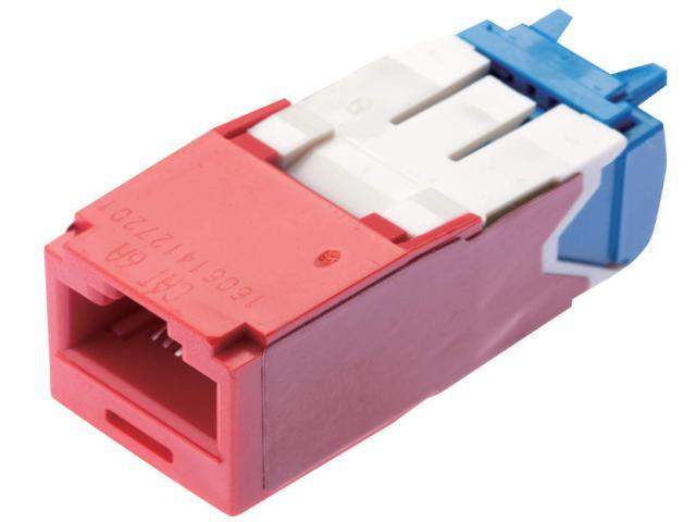 PANDUIT Mini-Com TX-6 Modular Insert