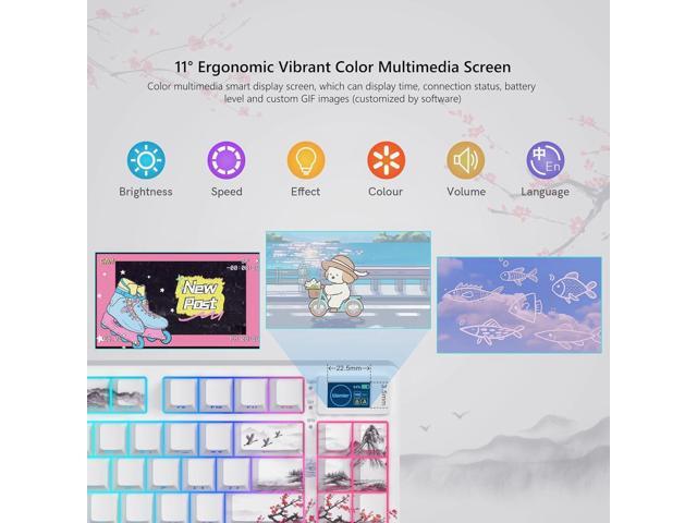 Womier 75% Wireless Mechanical Keyboard with Color Multimedia Screen Gaming Keyboard, Theme 3-Modes Hot Swappable Key Board w/Wrist Rest,SK80 PRO...