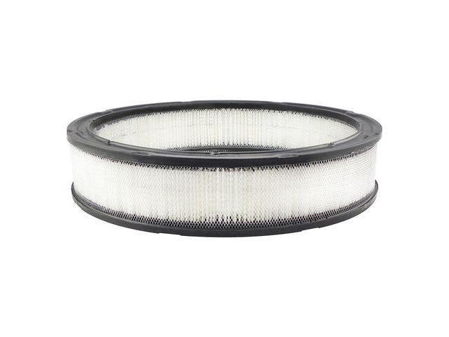 Photos - Other household accessories BALDWIN FILTERS PA2010 Air Filter, 12-3/4 x 2-3/4 in.