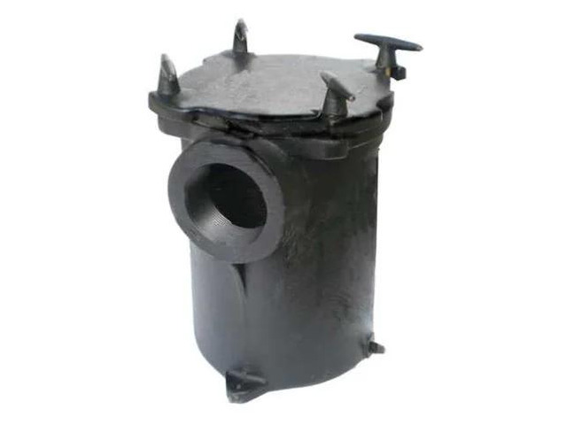 DAYTON 5PXF3 PumpStrainer,3 In,Cast Iron,Fits 5PXD0-1