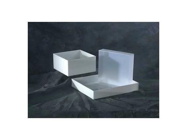 DYNALON 109874 LABORATORY TRAY 3X17.5X15.5 HDPE