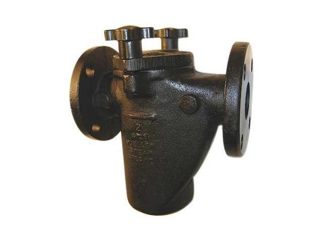MUELLER STEAM SPECIALTY 2 125F Basket Strainer, 2' Pipe, Flanged, Cast iron,