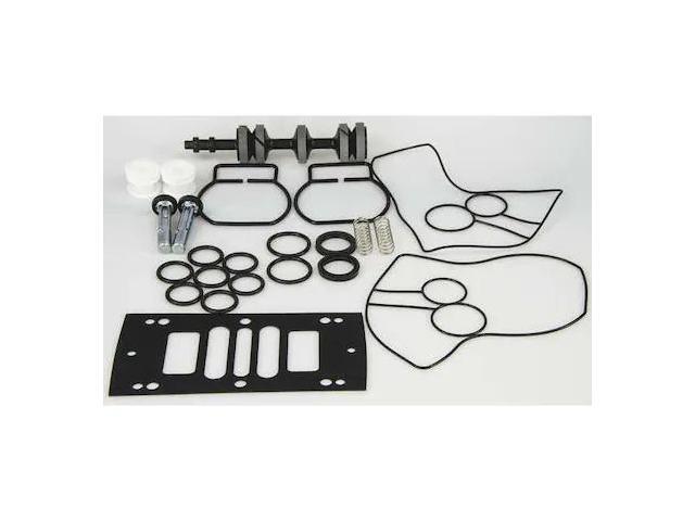 DAYTON 22A618 Pump Repair Kit,Buna N,Air,1 In.