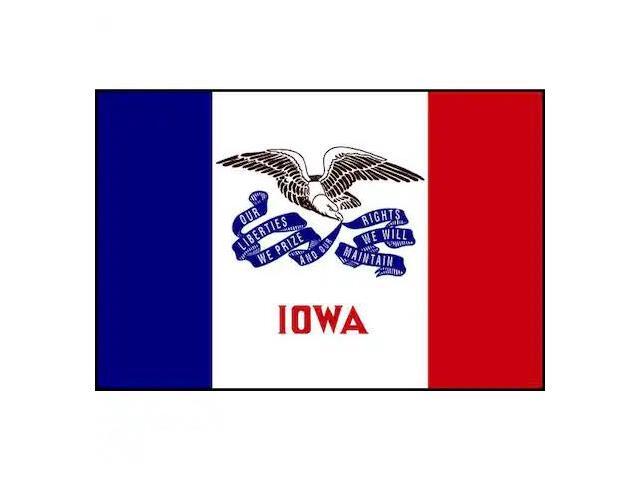 ANNIN FLAGMAKERS 141760 Iowa State Flag,3x5 Ft