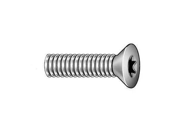 TAMPER-PRUF SCREWS 400760 1/4'-20 x 1-1/4 in Torx Flat Machine Screw, Zinc
