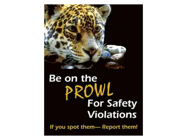 ACCUFORM SP124513L Safety Poster, Be On The Prowl For Safety Violations If You