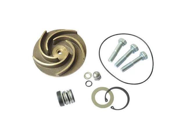 DAYTON 21TG88 Pump Repair Kit,For 2ZWY7A