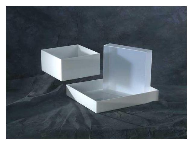DYNALON 109934 LABORATORY TRAY 3.75X29.25X23.25 HDPE