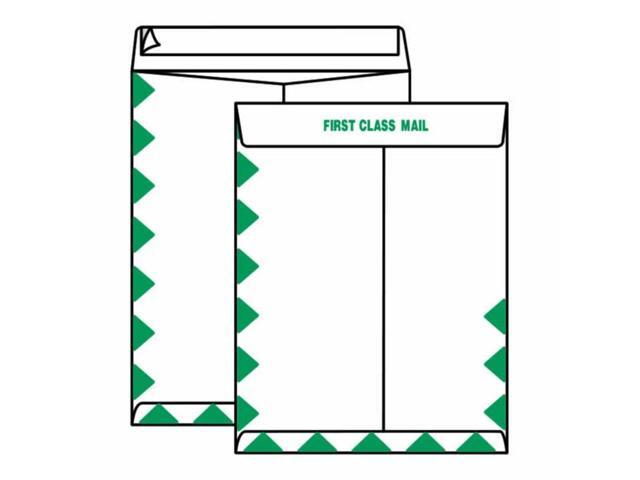 Open End First Class Tyvek Catalog Envelopes, 10' x 13', 14#, 'First Class Mail' on Face and Flap (Box of 100)