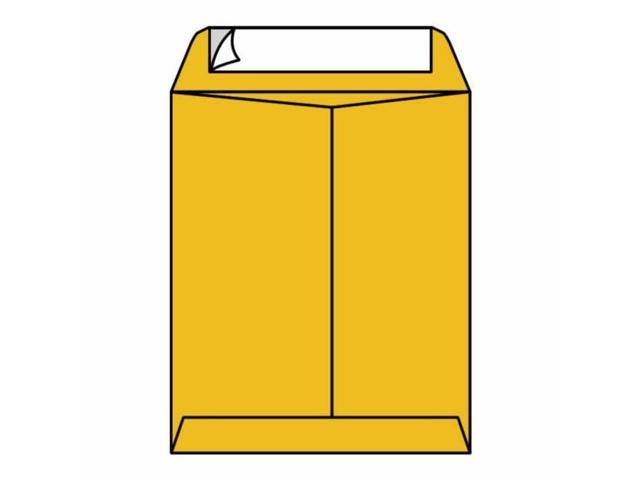 Open End Catalog Envelopes, 10' x 13', 28#, Tan / Brown Kraft, Center Seam, Pressure Sensitive Seal (Box of 500)
