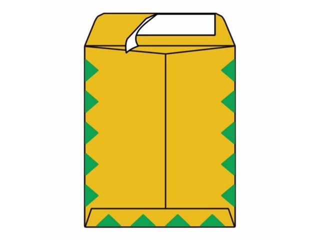 Open End First Class Catalog Envelopes, 10' x 13', 28#, Green Diamond Border, 'First Class Mail' on Face, Pressure Sensitive Seal (Box