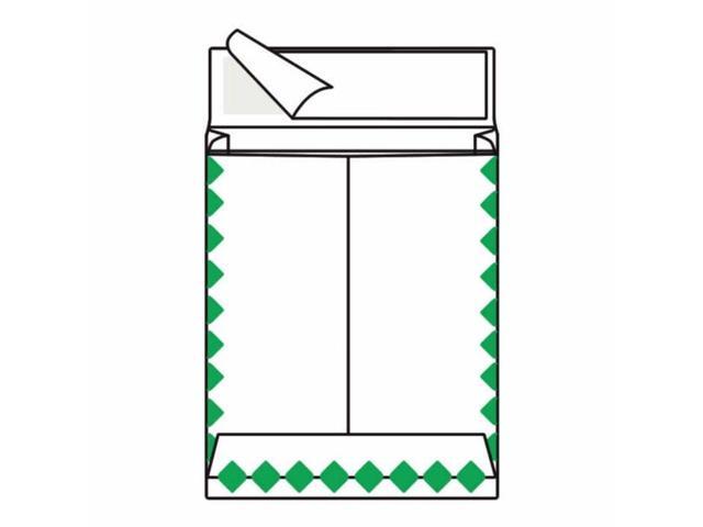Open End First Class Expansion Tyvek Catalog Envelopes, 10' x 13', 18#, 'First Class Mail' on Face and Flap (Box of 100)