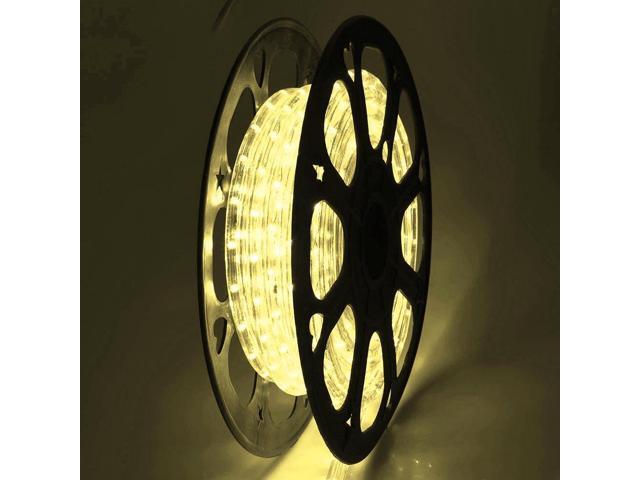 DELight 50 Ft 2 Wire LED Rope Light Holiday Valentine Party Decorative Lighting Warm White