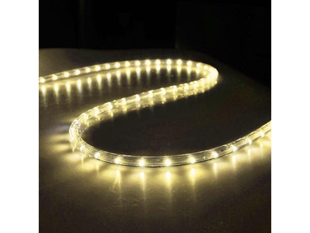 DELight 50 Ft 2 Wire LED Rope Light Holiday Valentine Party Decorative Lighting Warm White