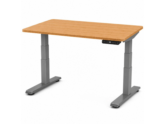 Rise Up 3-stage Dual Motor Electric Standing Desk with Natural Bamboo Top