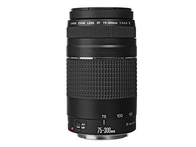 Canon EF 75-300mm f/4-5.6 III Telephoto Zoom Lens - f/4 to 5.6