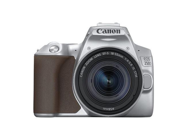 Canon EOS 250D (Rebel SL3) DSLR Camera w/ 18-55mm is STM Lens (Silver)