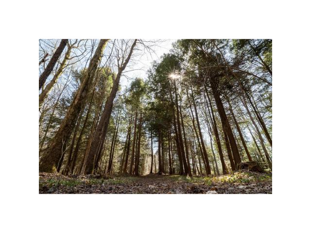 Sigma 16-28 2.8 DG DN Sony E Bundle