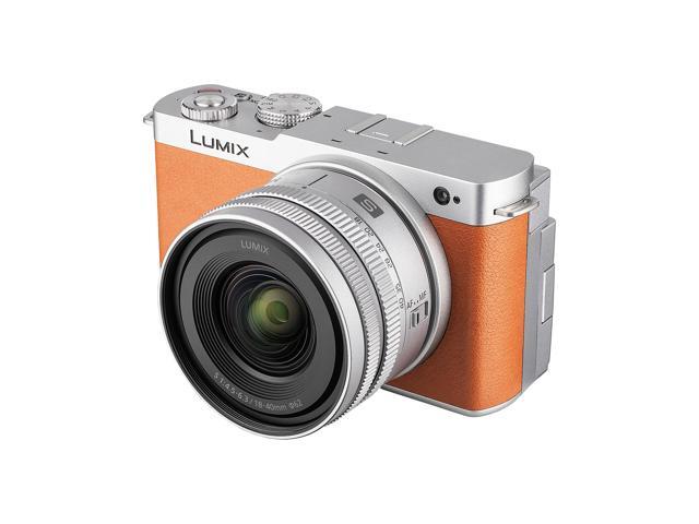 Panasonic Lumix S9Camera with 18-40mm f Lens (Orange), 2x 64GB Memory Card
