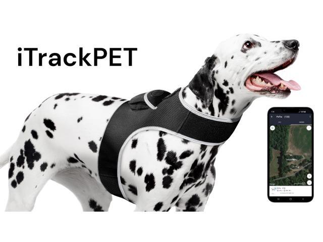 Waterproof Gps Pocket Dog Locator Device Realtime W/ Tracking History Size:Xxl