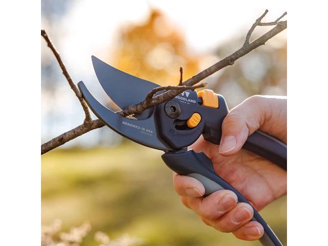 Zell Co. Heavy Duty Adjustable Bypass Pruning Shears, Gardening Hand Pruner, Plant Shears, Flower Clippers, Secateurs (05-2003-100)