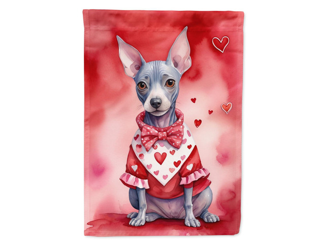 Caroline's Treasures DAC5265GF American Hairless Terrier My Valentine Garden Flag Mailbox Flag Decorative Yard Flag Banner Outside Patio Artwork...