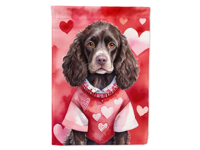 Caroline's Treasures DAC5266CHF American Water Spaniel My Valentine House Flag Large Porch Sleeve Pole Decorative Outside Yard Banner Artwork Wall...