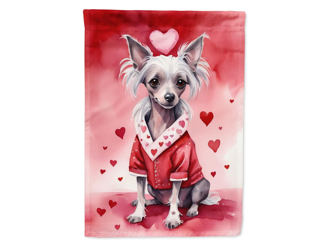 Caroline's Treasures DAC5316CHF Chinese Crested My Valentine House Flag Large Porch Sleeve Pole Decorative Outside Yard Banner Artwork Wall...