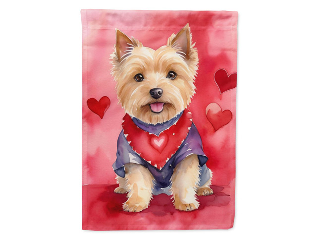 Caroline's Treasures DAC5399GF Norwich Terrier My Valentine Garden Flag Mailbox Flag Decorative Yard Flag Banner Outside Patio Artwork Yard Flower...