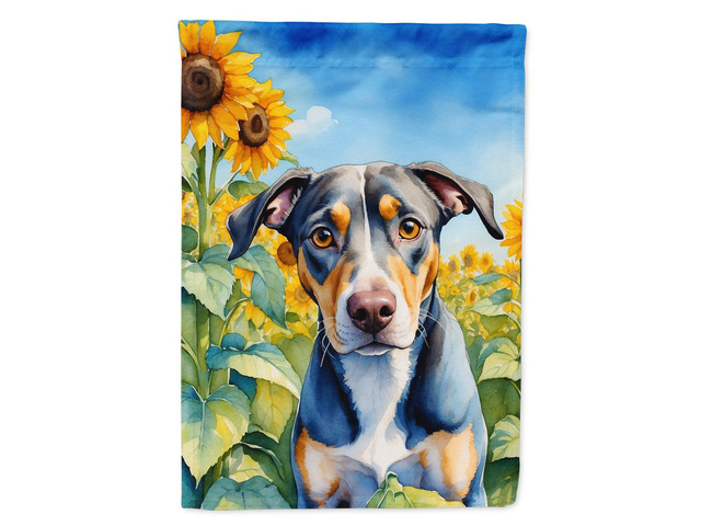 Caroline's Treasures DAC6046CHF Catahoula in Sunflowers House Flag Large Porch Sleeve Pole Decorative Outside Yard Banner Artwork Wall Hanging,...