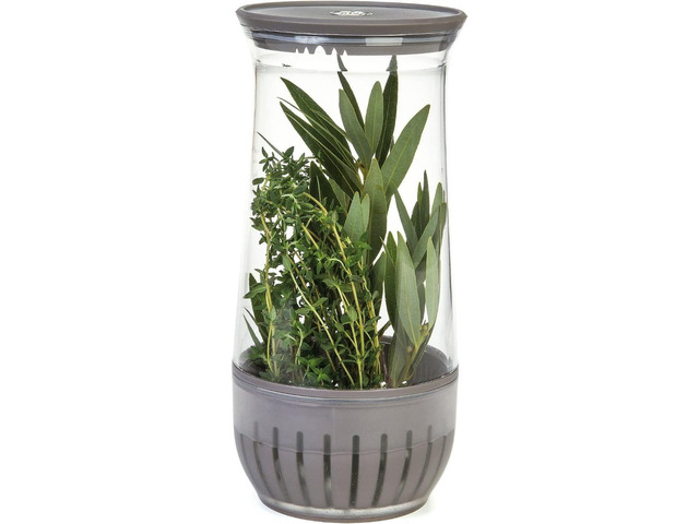 Progressive PL8-1201 Herb Saver Petite