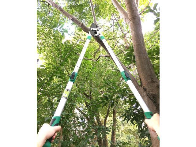 Heavy Duty Anvil Lopping Shears -2 inch Cutting Capacity Bypass Lopper - Extendable 26 Inch to 41 Inch,Professional Tree Branch Cutter