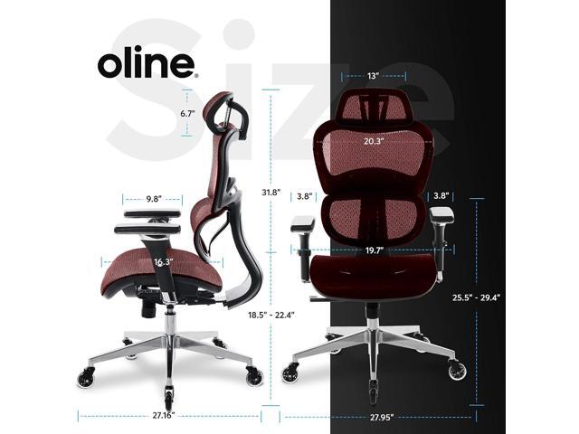 Oline ErgoPro Ergonomic Office Chair - Rolling Desk Chair with 4D Adjustable Armrest, 3D Lumbar Support and Blade Wheels - Mesh Computer Chair,...