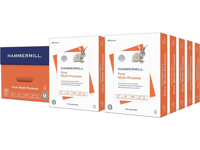 Hammermill Printer Paper, Fore Multipurpose 20 lb Copy Paper, 8.5 x 11-96 Bright, Made in the USA, 103267C (10 Ream, 5000 Sheets Total)