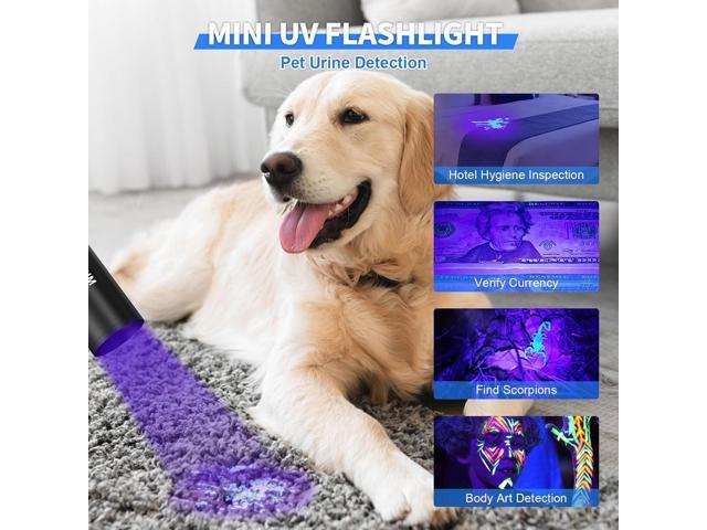 Goreit Flashlights LED High Lumens Rechargeable, 980,000 Lumens XHM77.2 Super Bright Flash Light USB, Handheld Flashlight High Powered,Powerful...