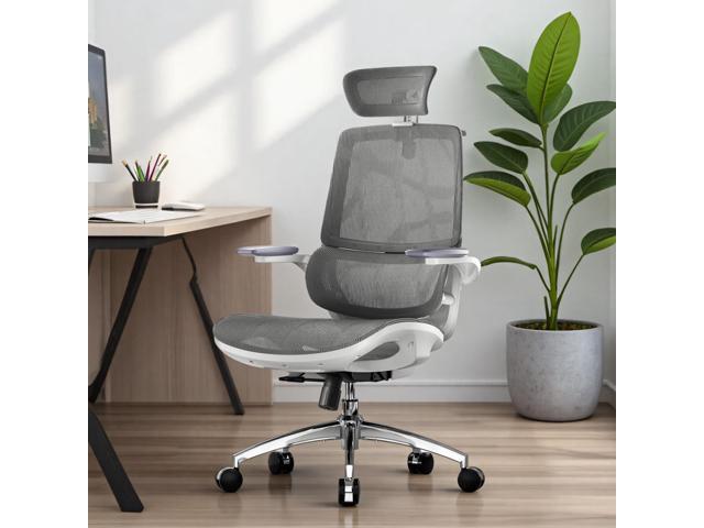 SIHOO M59AS Ergonomic Office Chair, Computer Chair with 3D Flip-up Armrests, Dual Backrest with Dynamic Adaptive Lumbar Support