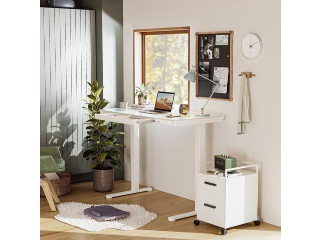 BANTI Electric Standing Desk with Drawers, 55 inch Whole-Piece Glass Desktop, Height Adjustable Stand up Sit Stand Home Office Ergonomic...
