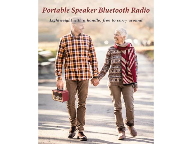 PRUNUS Retro Vintage Radio with Bluetooth Rich Bass Stereo Sound, Radios Portable AM FM, Rechargeable Speaker with TWS Pairing, Loud Volume,BT5.0,...